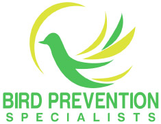 bird prevention specialists